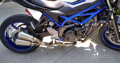 porta numero Suzuki SV650 dal 2016