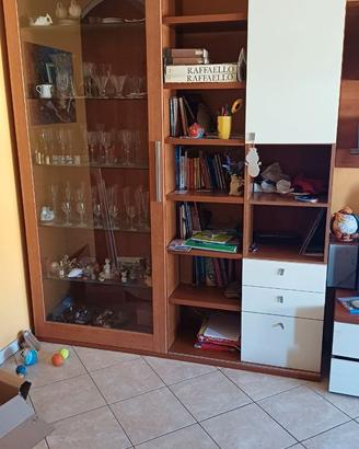 Mibilevetrinettalibreria sala