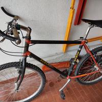 bicicletta 