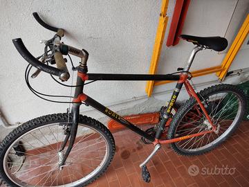 bicicletta 