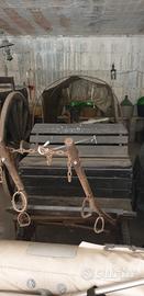 Carrozza cavallo
