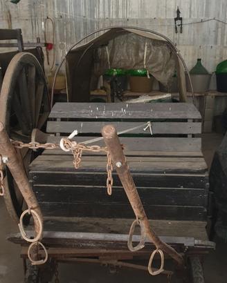 Carrozza cavallo
