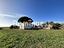 Immagine 14