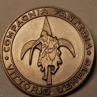 FANTERIA VITTORIO VENETO RARA SPILLA ARGENTO 800