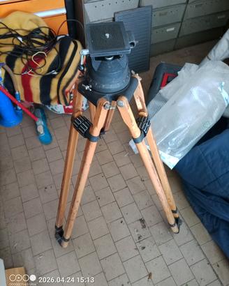 Treppiede Vintage CARTONI in Legno - Testa Fluida 