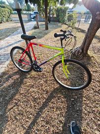 bicicletta Mtb Bandiziol