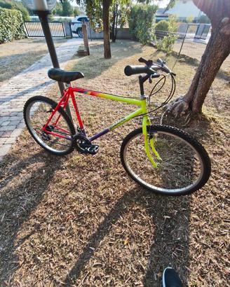 bicicletta Mtb Bandiziol