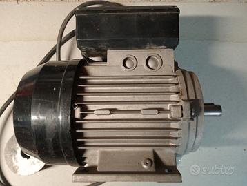 Motore elettrico 220V