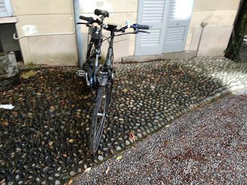 bici elettrica 