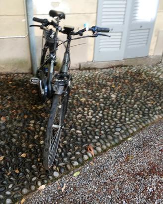 bici elettrica 