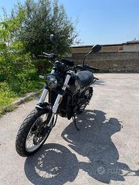 Benelli leoncino 500 trail 2024