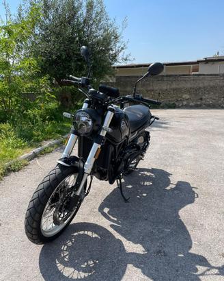 Benelli leoncino 500 trail 2024
