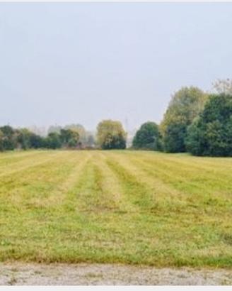 Terreni commerciali - artigianali