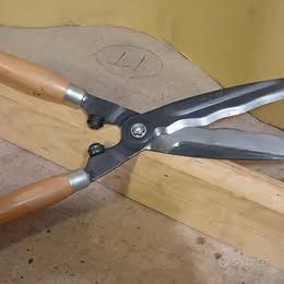 Tagliasiepe a forbici