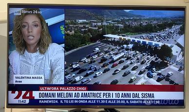 TV Telefunken + staffa a muro inclusa