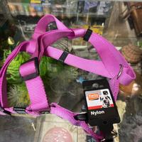 Accessori per animali