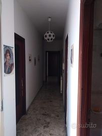 Camera singola