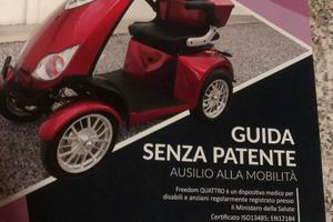 Altro Altro modello - 2025