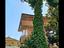 Immagine 6