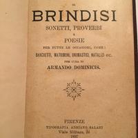 RACCOLTA DI BRINDISI Antico libro del 1897