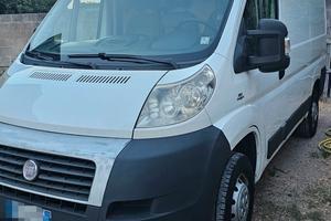 fiat ducato l1h1 coibentato 