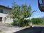 Immagine 22