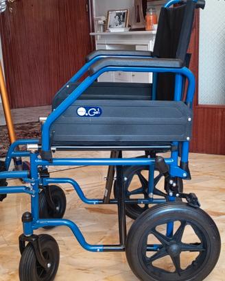 Carrozzina a rotelle