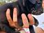 Immagine 6