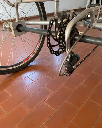 bicicletta 3 ruote