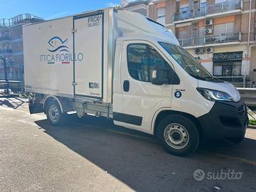 FIAT DUCATO 180 CV ISOTERMICO
