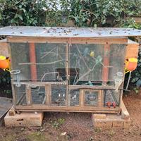 voliera per uccelli da esterno