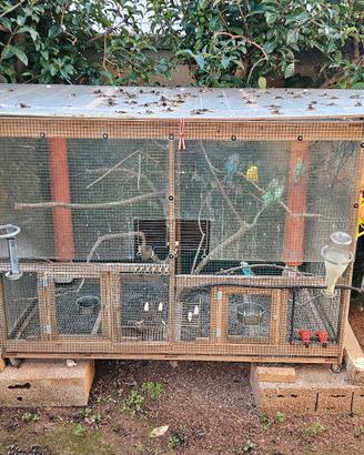 voliera per uccelli da esterno