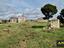 Immagine 21