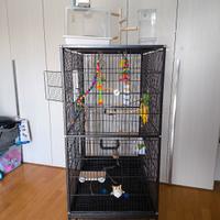 gabbia per uccelli  xxl