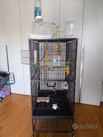 gabbia per uccelli  xxl