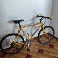 Bicicletta sportiva 