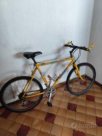 Bicicletta sportiva 
