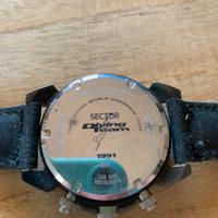 Sector diving team 1991