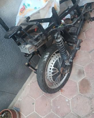 Bicicletta vitale