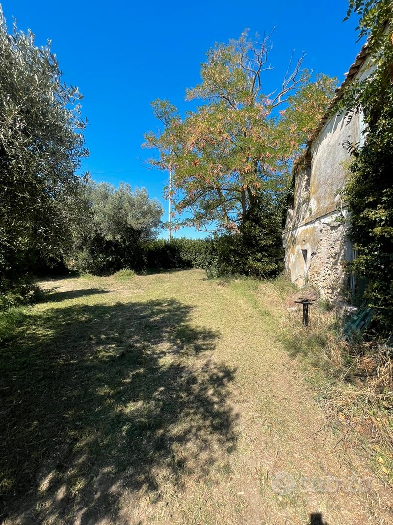 Casale con uliveto - Vista 2