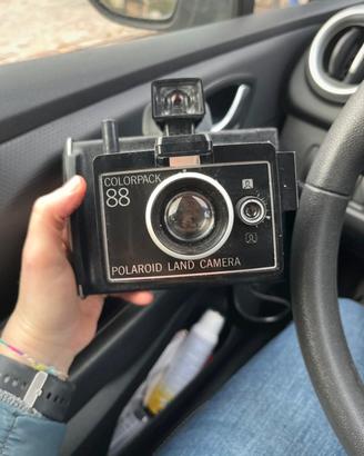 Polaroid color land