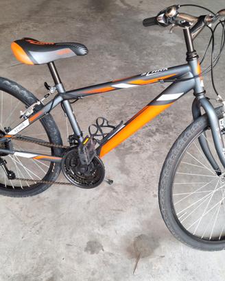 Mtb 24 pollici 