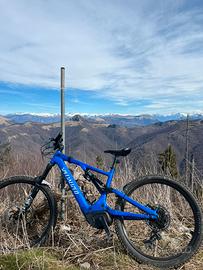 E bike specialized turbo levo