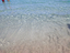 Immagine 7