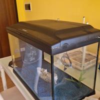 Acquario Cayman 60 prof. da 75 litri