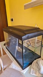 Acquario Cayman 60 prof. da 75 litri
