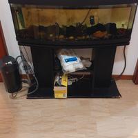 Acquario 110l