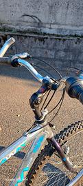 Mountain bike