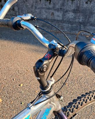 Mountain bike