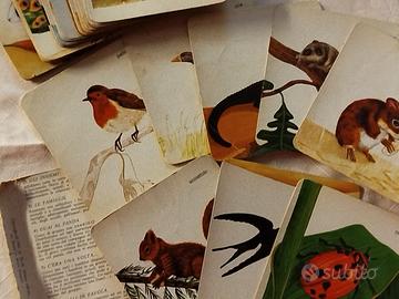 carte degli animali vintage